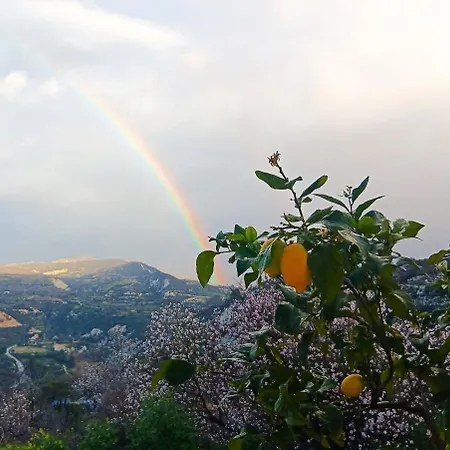The Orangerie Mountain *