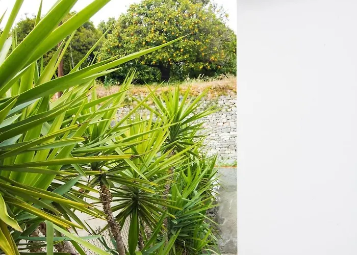 Nyaraló The Orangerie Mountain Limnatis