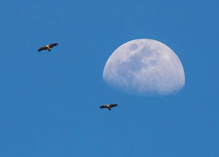 The Orangerie Mountain Nyaraló