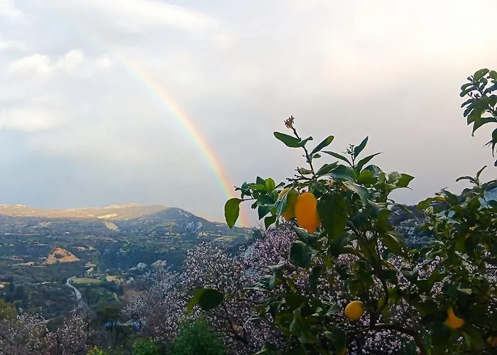 The Orangerie Mountain *