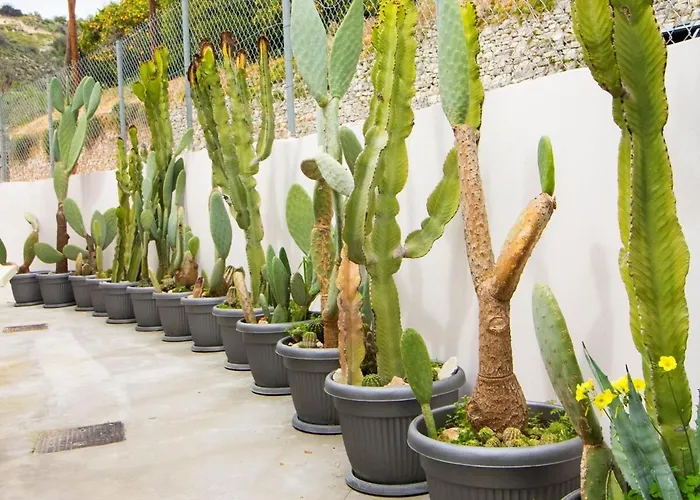 The Orangerie Mountain Nyaraló *