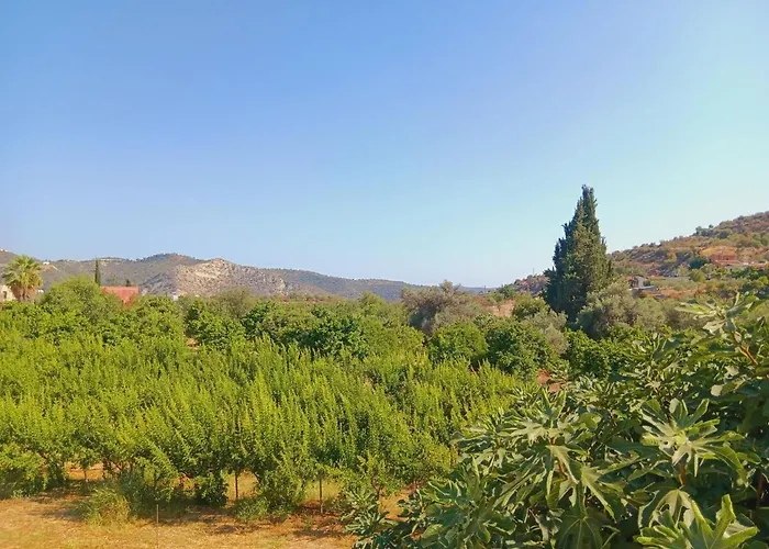 The Orangerie Mountain