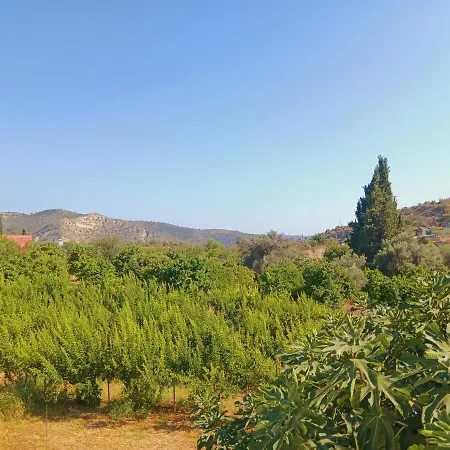 The Orangerie Mountain
