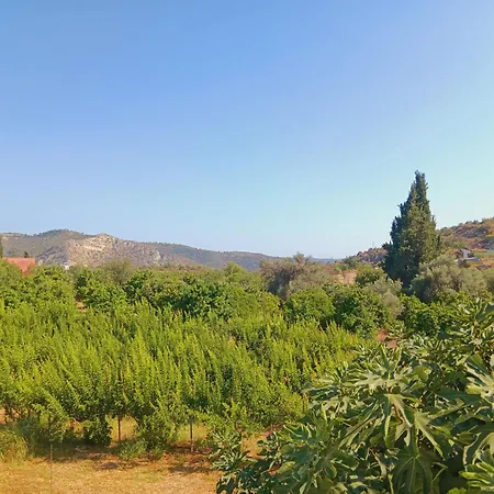 The Orangerie Mountain Limnatis