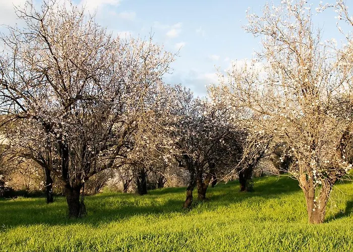 The Orangerie Mountain בית נופש Limnatis