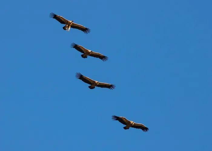 בית נופש The Orangerie Mountain Limnatis