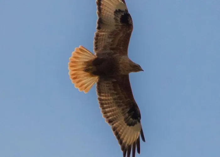 The Orangerie Mountain בית נופש Limnatis