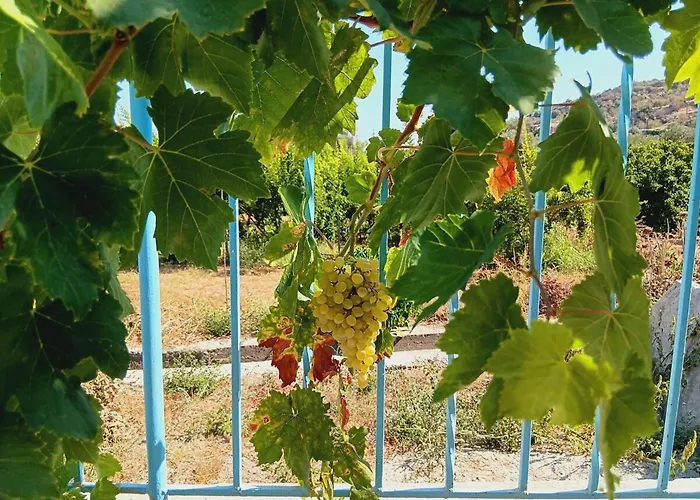 Dom wakacyjny The Orangerie Mountain